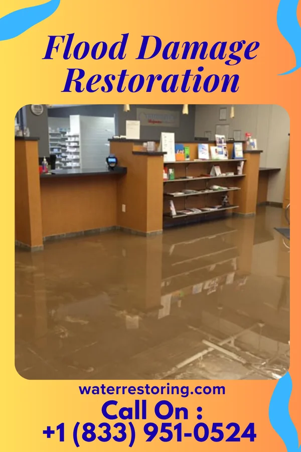 Flood Damage Restoration in Omaha, TX