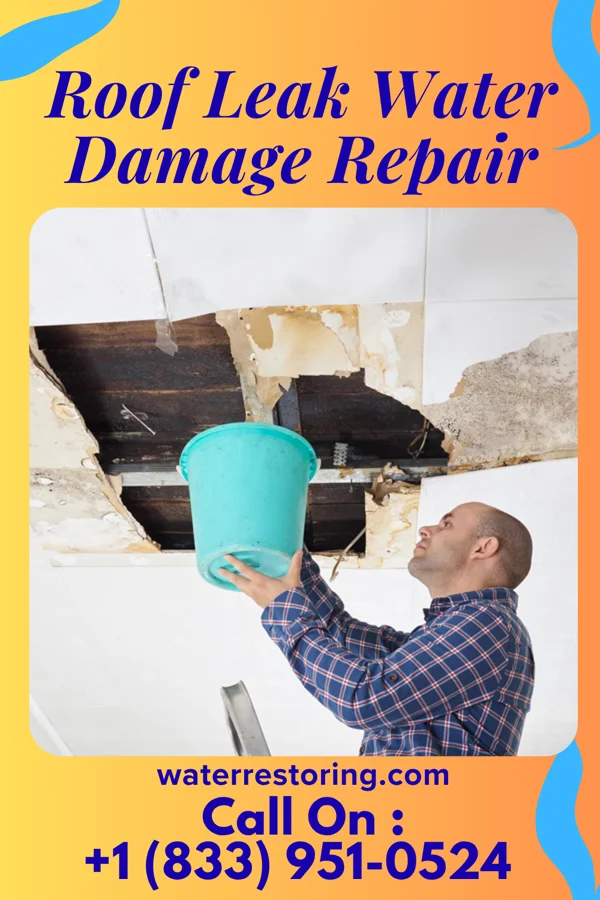 Roof Leak Water Damage Repair in Omaha, TX