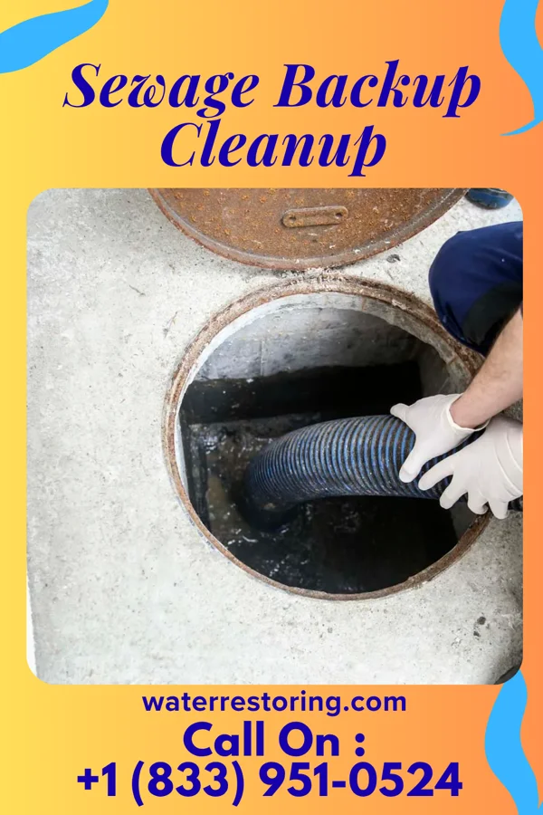 Sewage Backup Cleanup in Omaha, TX